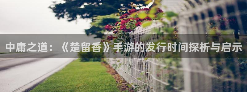 广州杏耀电子商务：中庸之道：《楚留香》手游的发行时间探析与启示