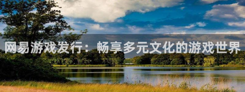 杏耀涂料怎么样：网易游戏发行：畅享多元文化的游戏世界