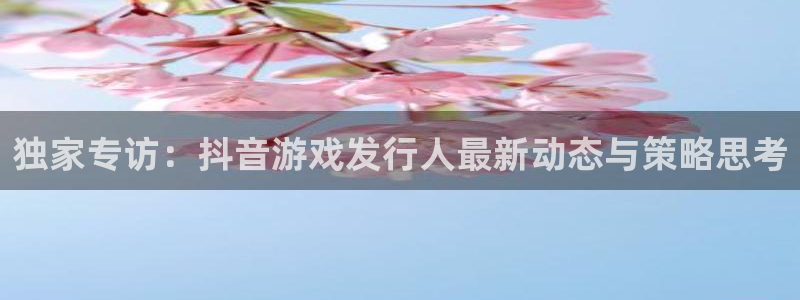 深圳杏耀电商