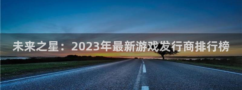 陕西杏耀子文化公司加我qq：未来之星：2023年最新游戏发行商排行榜