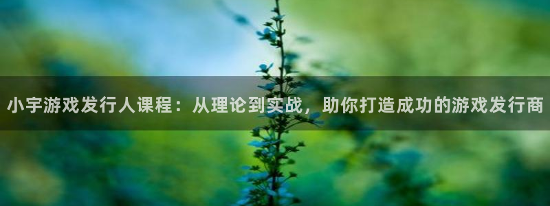 陕西杏耀子文化公司加我qq