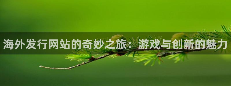 杏耀超纯啤酒怎么样