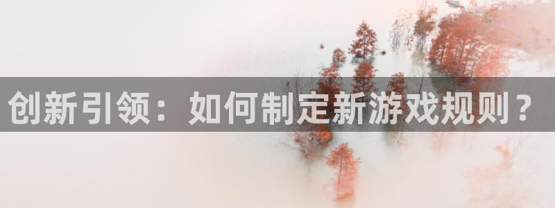杏耀官网登录注册账号是什么样的：创新引领：如何制定新游戏规则？