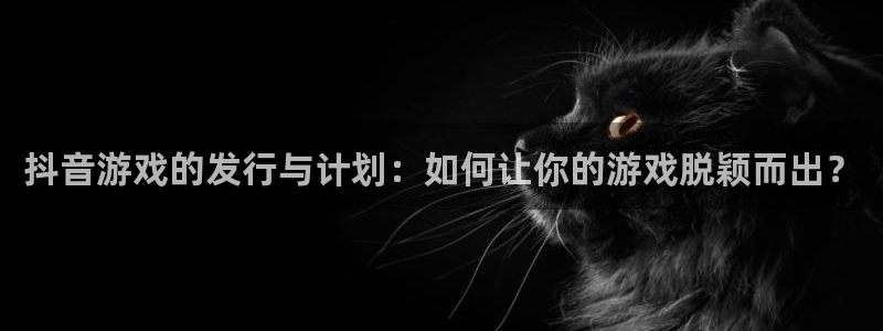 杏耀官网登录注册失败怎么办：抖音游戏的发行与计划：如何让你的游戏脱颖而出？