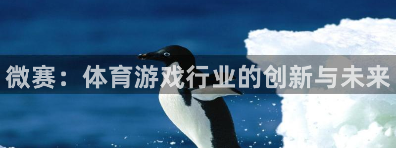 杏耀龙：微赛：体育游戏行业的创新与未来